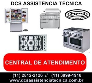 DCS Assistencia Tecnica